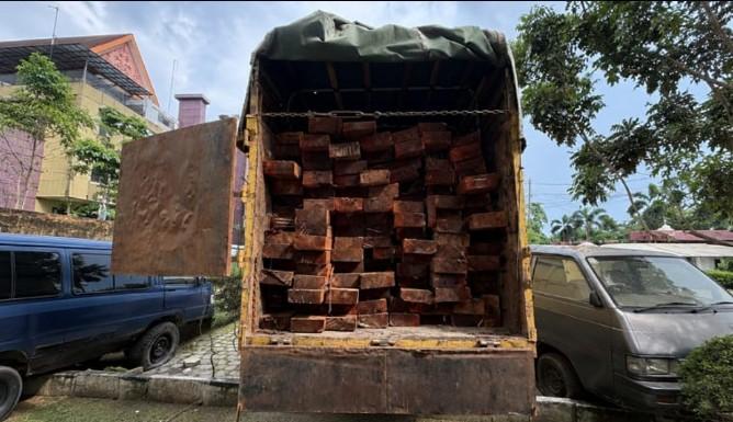 Polda Riau Bongkar Illegal Logging di Cagar Biosfer Giam Siak Kecil