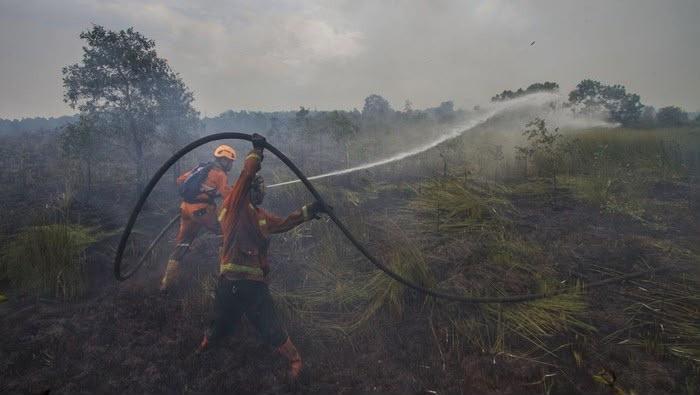Antisipasi Karhutla, PTPN IV PalmCo Perkuat Deteksi Dini dan Patroli di Sumatera - Kalimantan