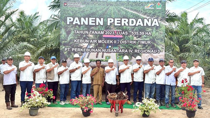 Tembus Usia 2,5 Tahun, Sawit Muda PTPN IV Regional III Catat Produksi Di Atas Standar Nasional
