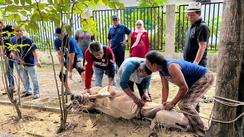PWI Riau Gelar Pemotongan Hewan Kurban Iduladha 1447 H