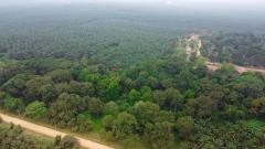 Lindungi 14.000 Ha HCV, Ini Langkah PalmCo Menjaga Spesies Langka