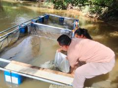 PTPN IV Reg III Stimulus Pemuda Tandun Kelola Potensi Sungai Tapung Wujudkan Kemandirian Ekonomi