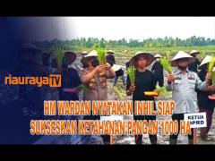BUPATI INHIL SIAP SUKSESKAN PROGRAM KETAHANAN PANGAN 1000 HA