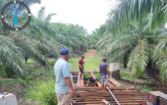 Melalui Program TJSL, PTPN IV Regional VI KSO Bantu Perbaikan Jembatan Untuk Masyarakat