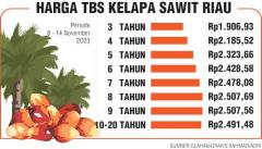 Harga TBS Sawit di Riau Naik Jadi Rp2.507 per Kg