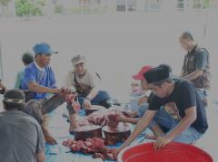 PTPN I dan KSO PTPN IV Regional 7 Potong 153 Hewan Kurban