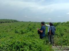 Weekend Produktif Region Head PTPN IV Regional V Kawal Langsung Investasi  On Farm - Off Farm