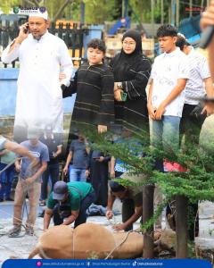 Dua Ekor Sapi dan Kuah Kurban: Kala Halaman Kantor Dishub Dumai Menjelma Ruang Silaturahmi