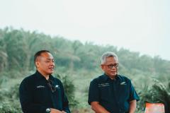 Rekomtek Petani Binaan PTPN IV PalmCo tembus 13 Ribu Hektare Setahun