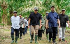 Kunjungan Direktur Utama PalmCo ke Kebun Percobaan NUSAKlon PT RPN PPKS