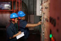 PTPN IV PalmCo Raih PROPER Biru, Perkuat Komitmen Lingkungan dan Transisi Energi Hijau