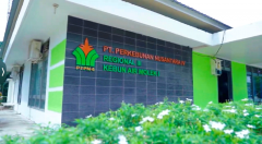 Operasional Air Molek Group PTPN IV Regional III Capai Produksi 40.984 Ton Sawit