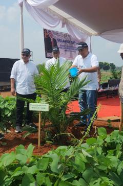 Tanam Perdana Kelapa Sawit, Denny Ramadhan: Kita Tanam dengan Akhlak