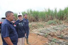 Direktur Operasional PTPN I Apresiasi Tebu PT BCN