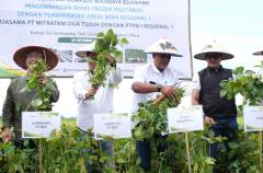 Panen Perdana Edamame di Kebun Sei Semayang PTPN I Regional 1