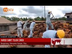 HARGO SAWIT TOJUN CIWOK