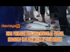 DISKAN PELALAWAN GELAR FESTIVAL MENANGKAP IKAN PATIN KUALO