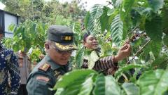  Tradisi Nggantingi: Selamatan Petik Kopi Tahun 2024 di Kebun Jollong PTPN I Regional 3