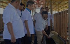 Peresmian Kegiatan Percobaan Pengembangan Pakan Ternak danRuminansia Kecil di Afdeling Pesantren